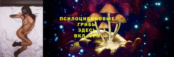 дживик Аркадак