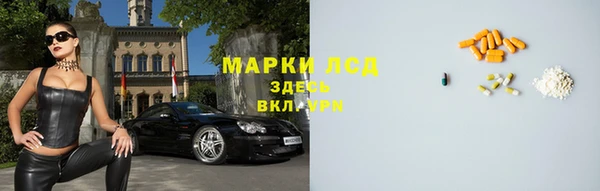 дживик Аркадак