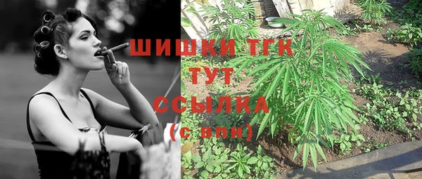 дживик Аркадак