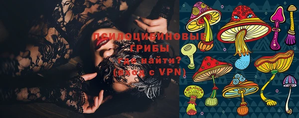 гидра Армянск