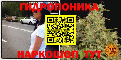 крисы Кумертау