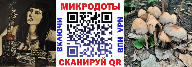 Галлюциногенные грибы Psilocybine cubensis  Георгиевск 