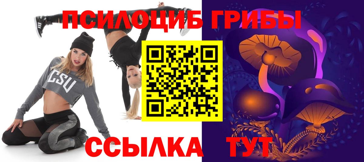 Георгиевск  Галлюциногенные грибы Psilocybe  Вход с VPN 